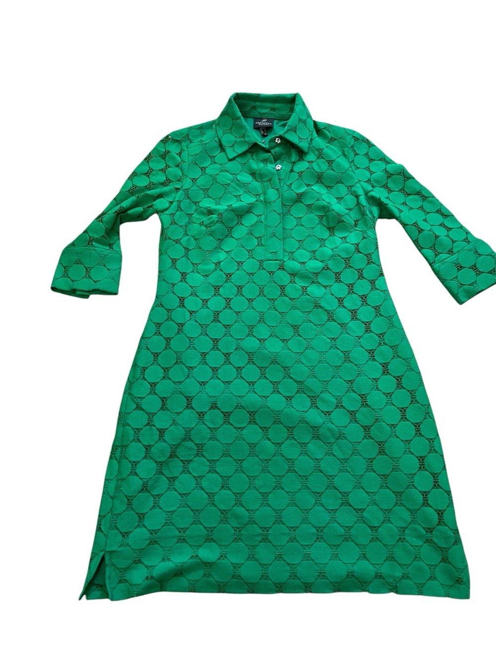 Adrianna Papell Green Lace Shift Dress